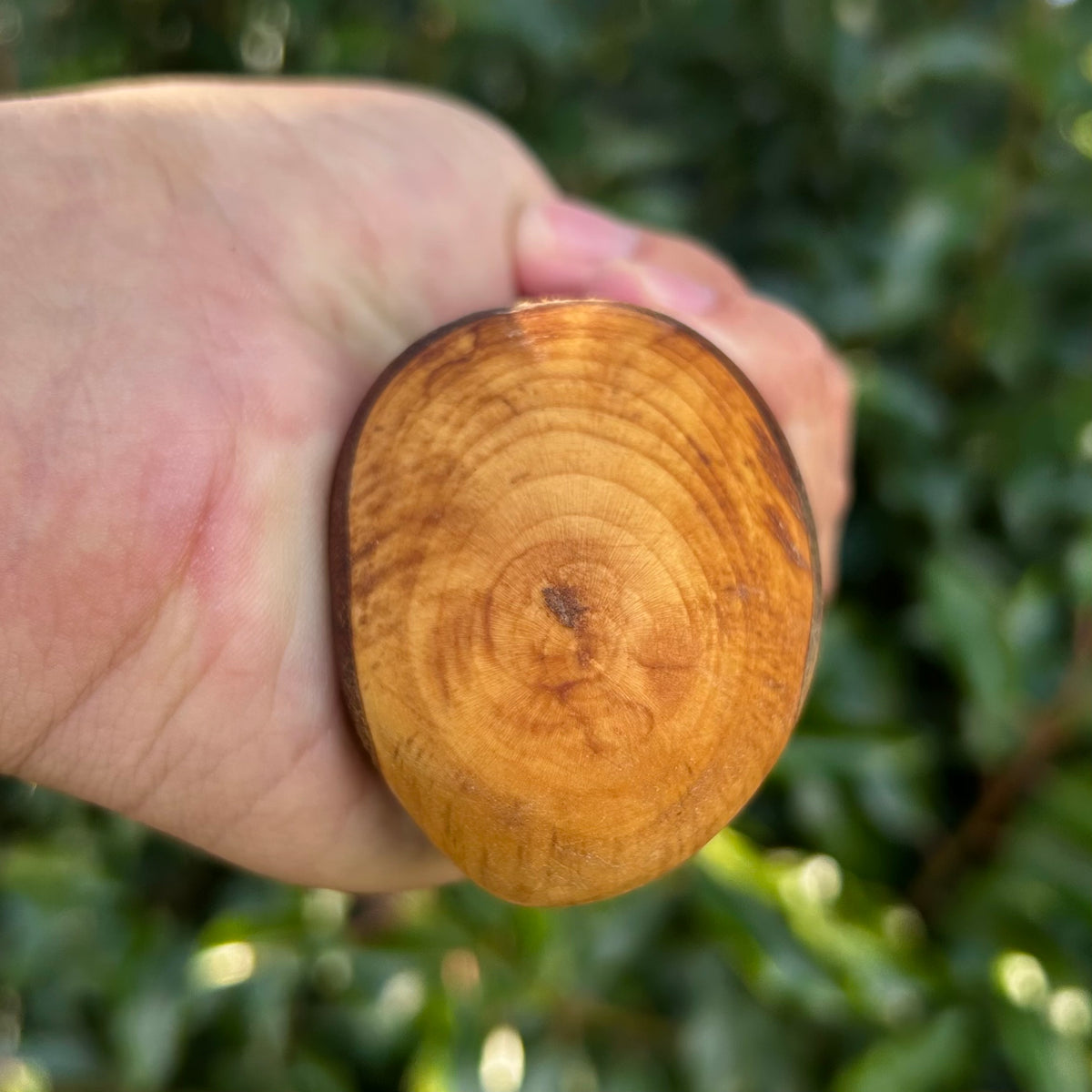 Mature Blackthorn Shillelagh Medium Knob Stick – 101 cm (39.8”)
