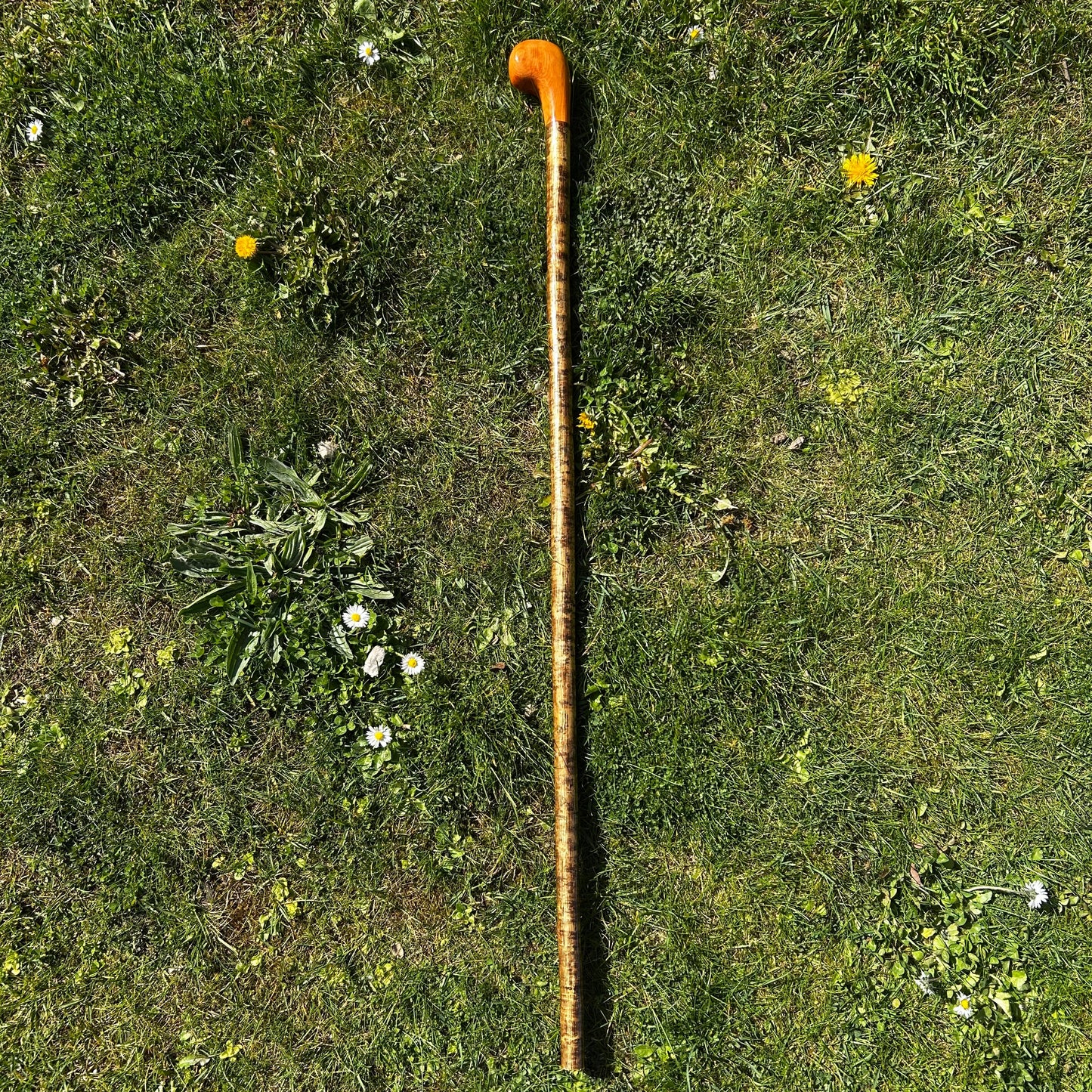Spalted Beech & Hazel Two-Piece Shillelagh – 103 cm (40.5”)