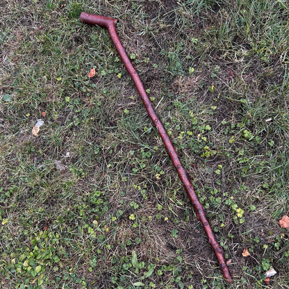 Chunky Blackthorn Shillelagh Sloped L Handle – 98.1 cm (38.6”)