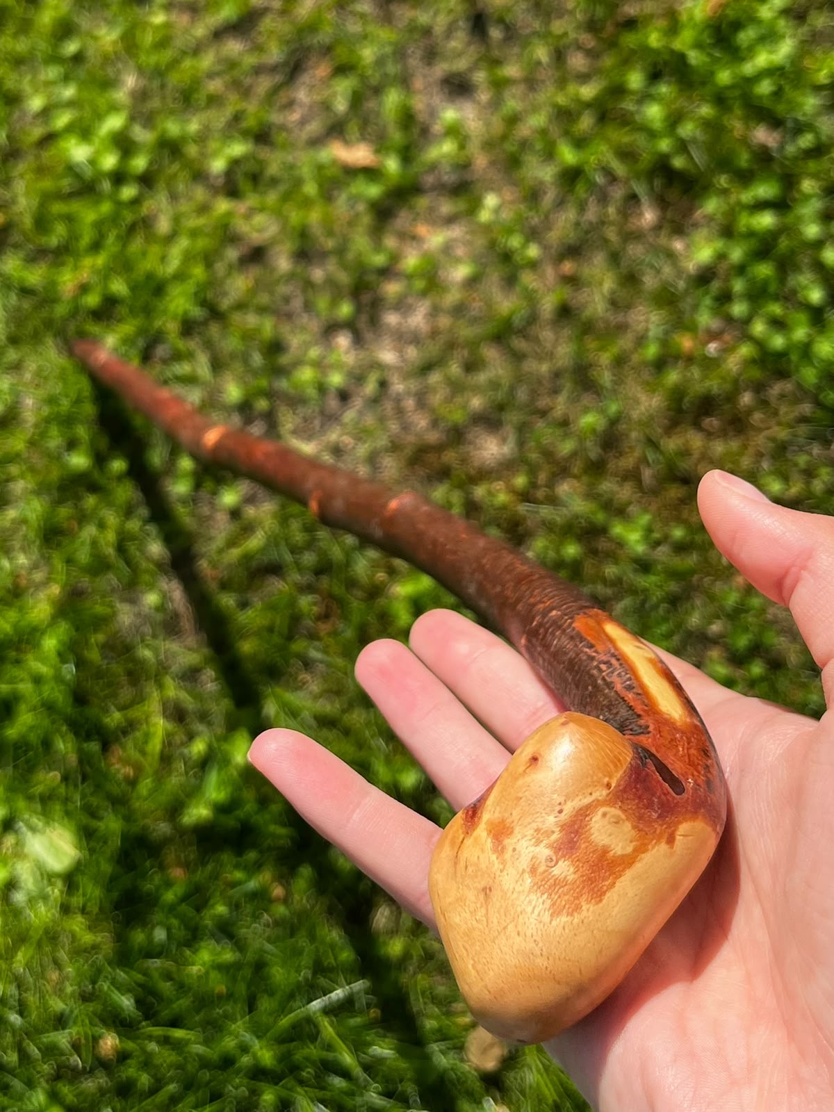 Blackthorn Knob Shillelagh Walking Stick – 91 cm (35.8”)