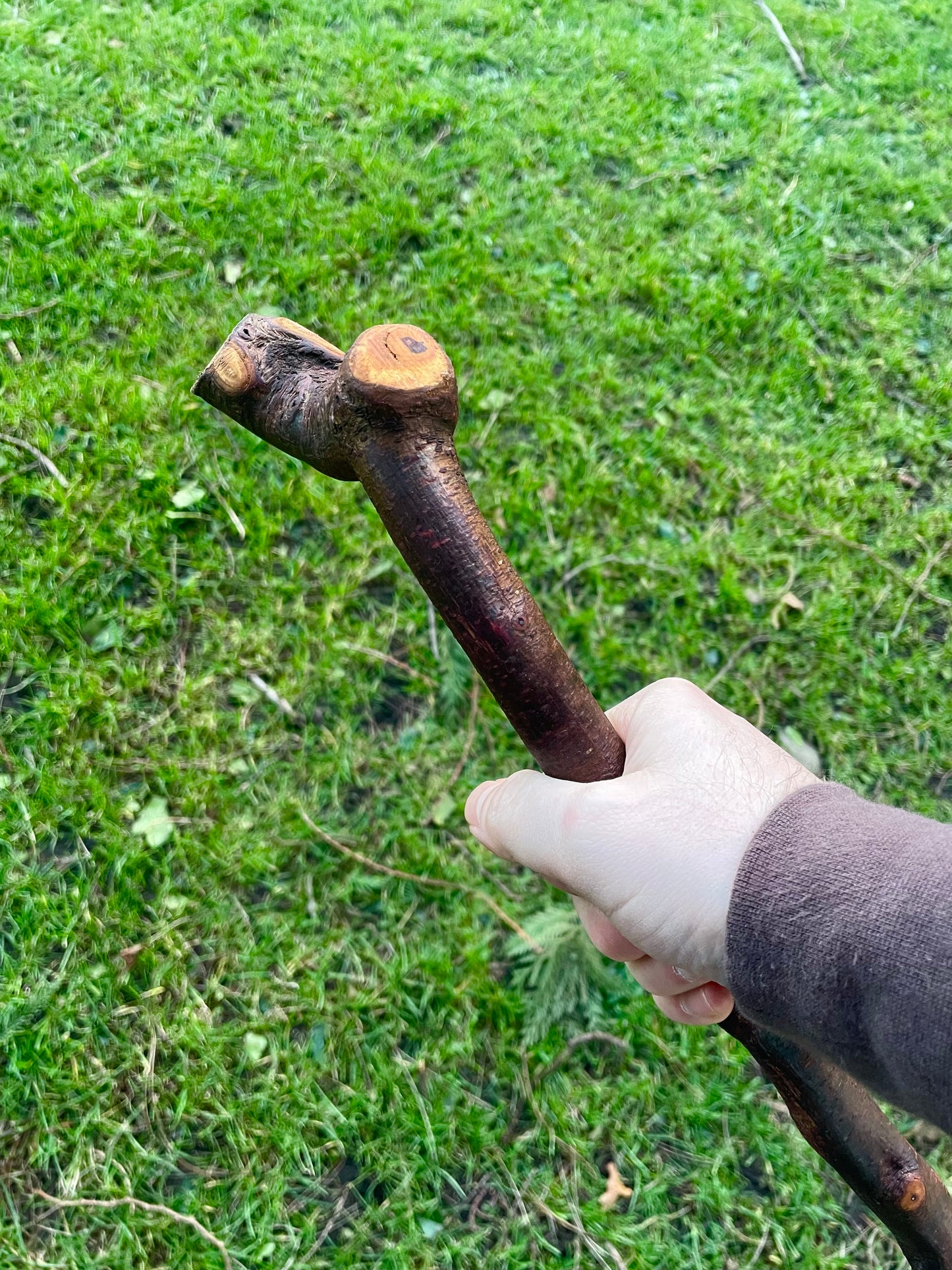 Blackthorn walking stick with sloped Handle