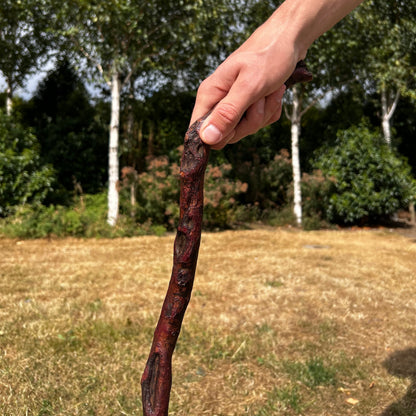 Blackthorn Shillelagh Humpy L Handle – 92.5 cm (36.4”)