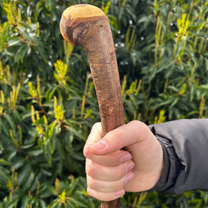 Blackthorn Shillelagh with Knotted Shaft – 109 cm (42.9”)