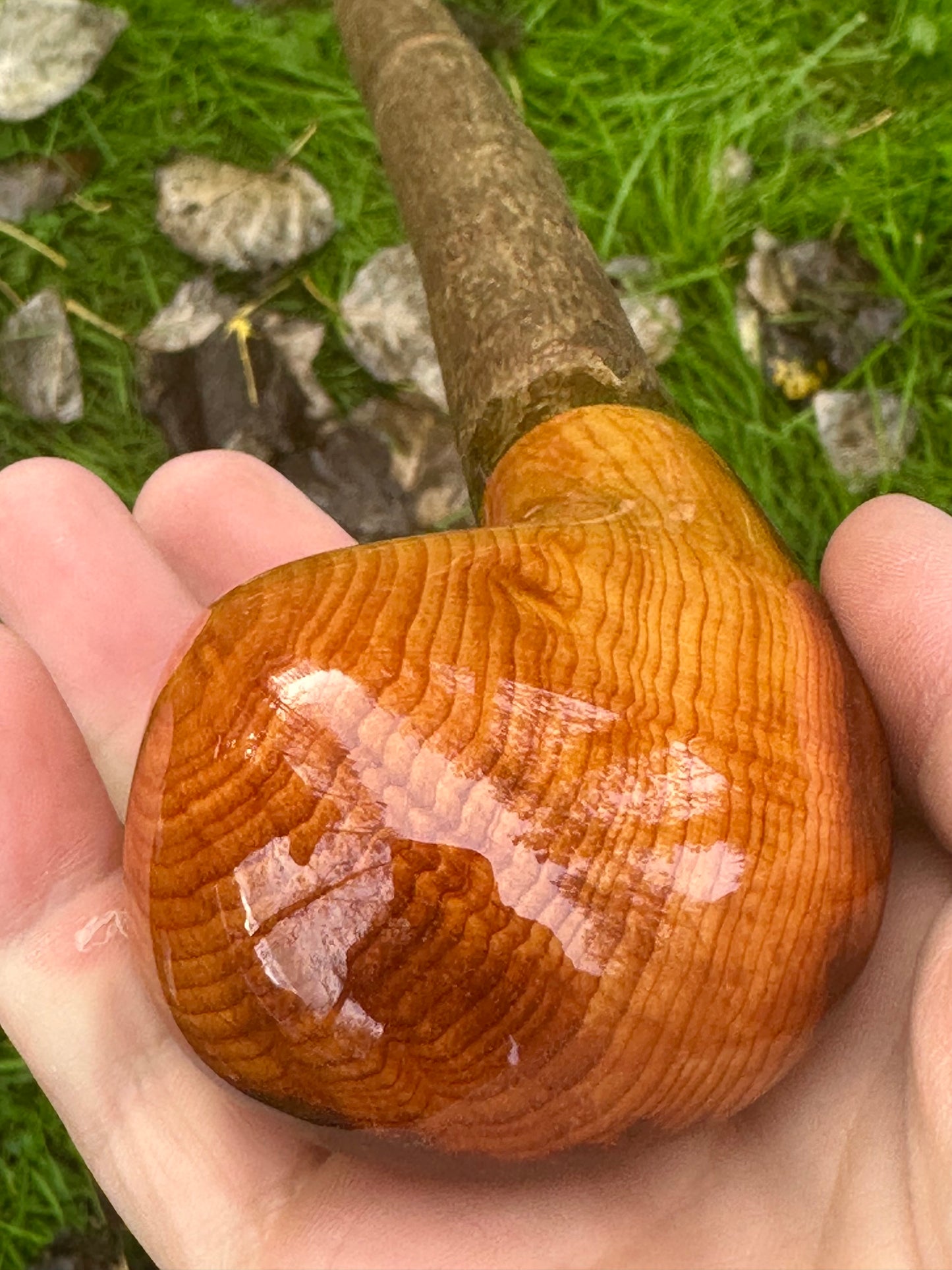 Irish Hazel Stick with Spalted Yew Head – 40”