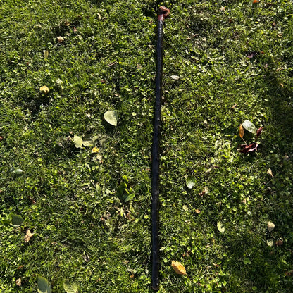 Large Root Ball Blackthorn Shillelagh – 110 cm (43.3”)