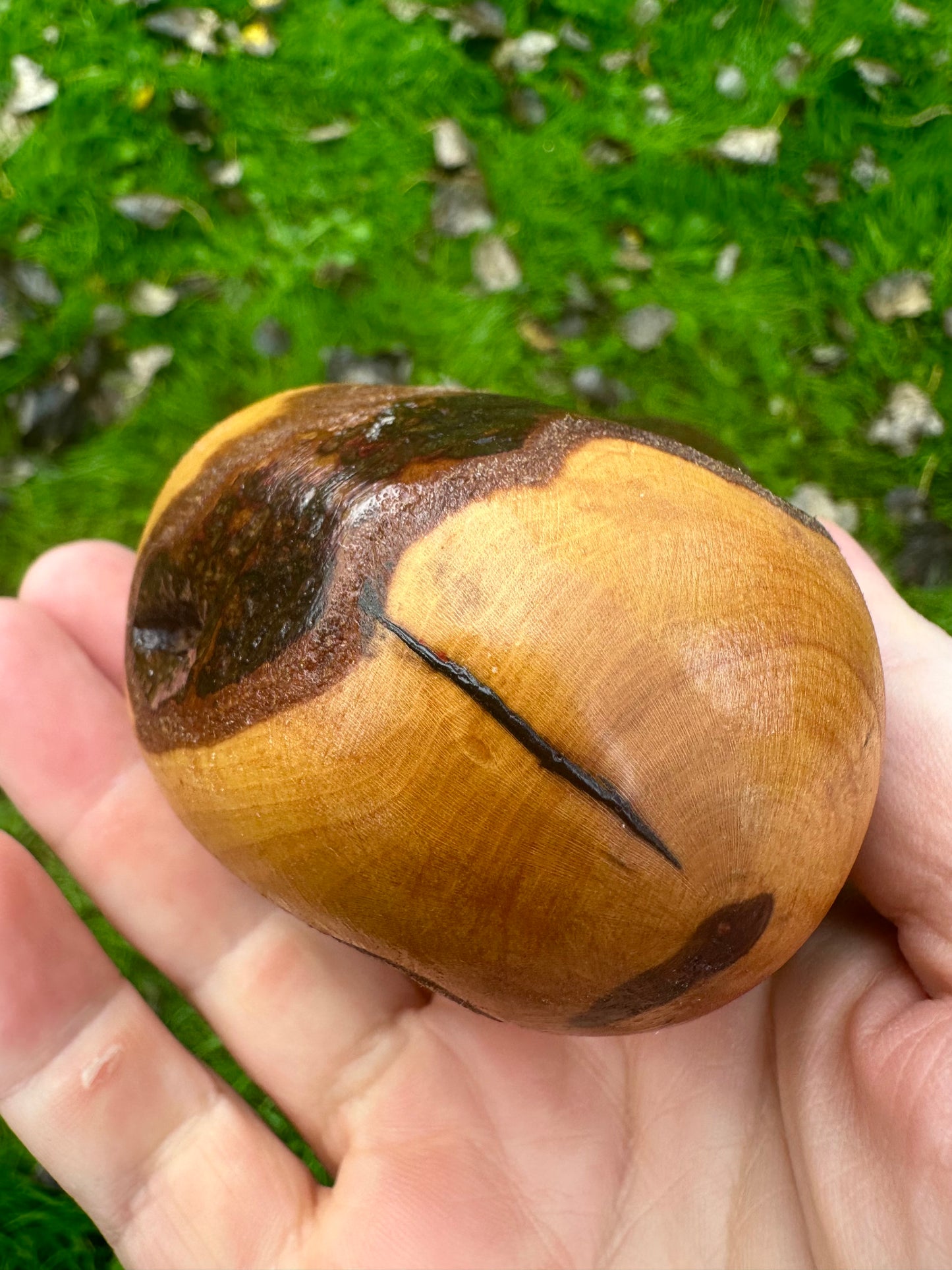 Irish Blackthorn Walking Stick with Knuckles – 40”