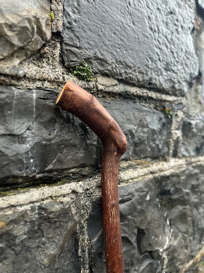 Blackthorn Walking Stick with 45° L-Shaped Handle – 102 cm (40.1”)