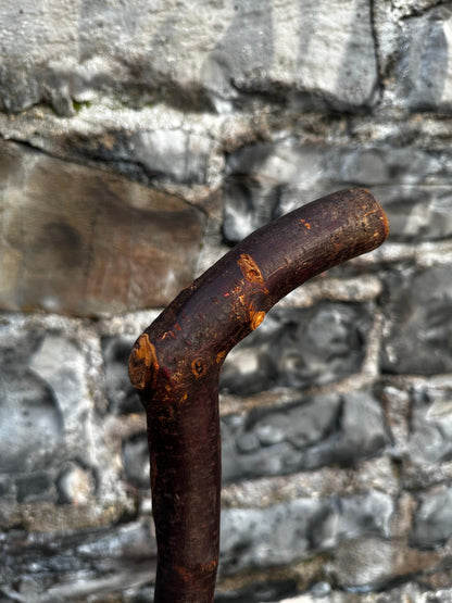 Blackthorn Walking Stick with Large L Handle – 101 cm (39.7”)