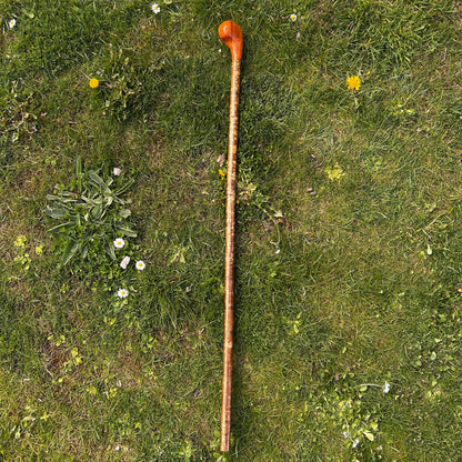 Luxury Hazel Two-Piece Shillelagh with Spalted Beech Handle – 100 cm (39.4”)