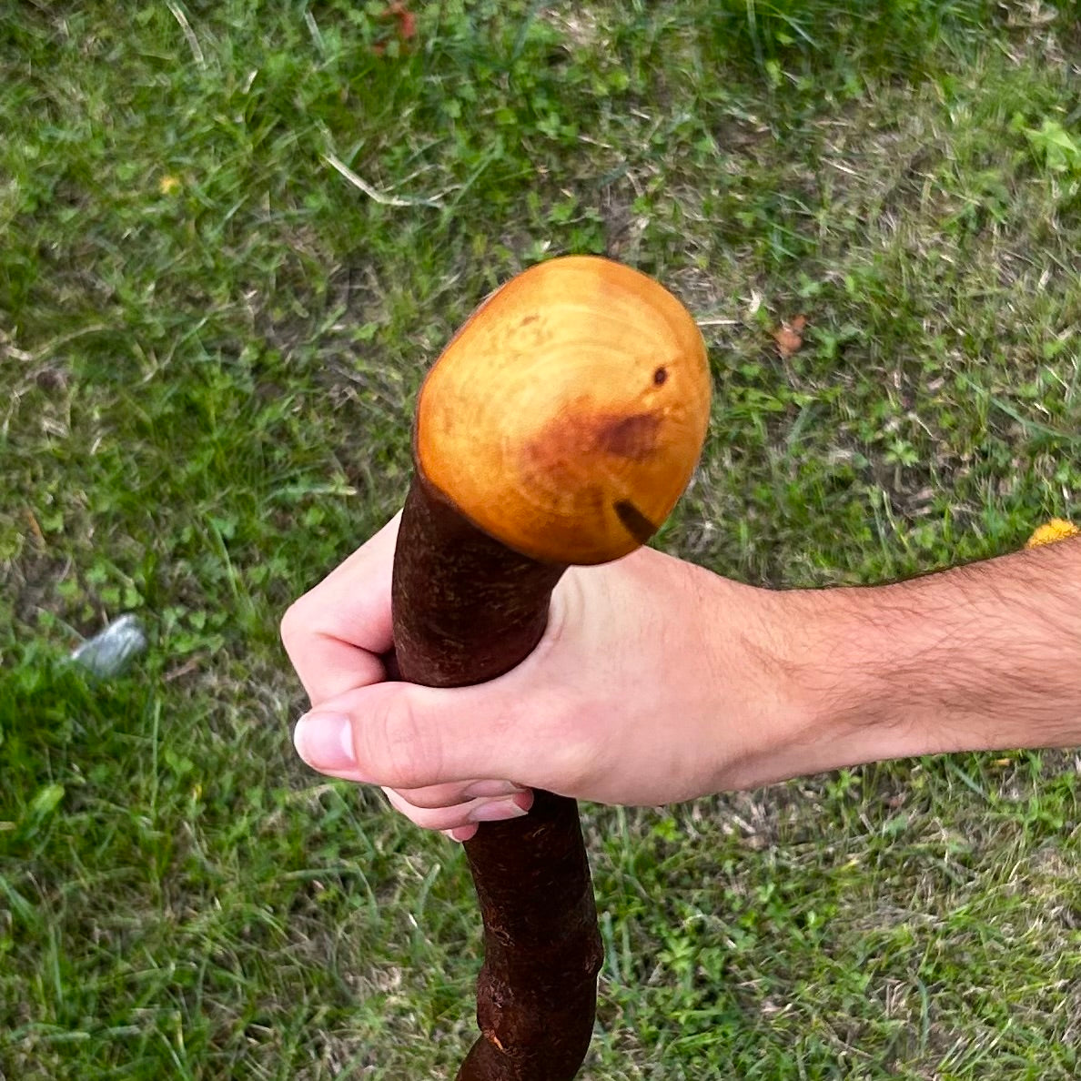 Natural Crooked Shaft Blackthorn Shillelagh – 102 cm (40.2”)