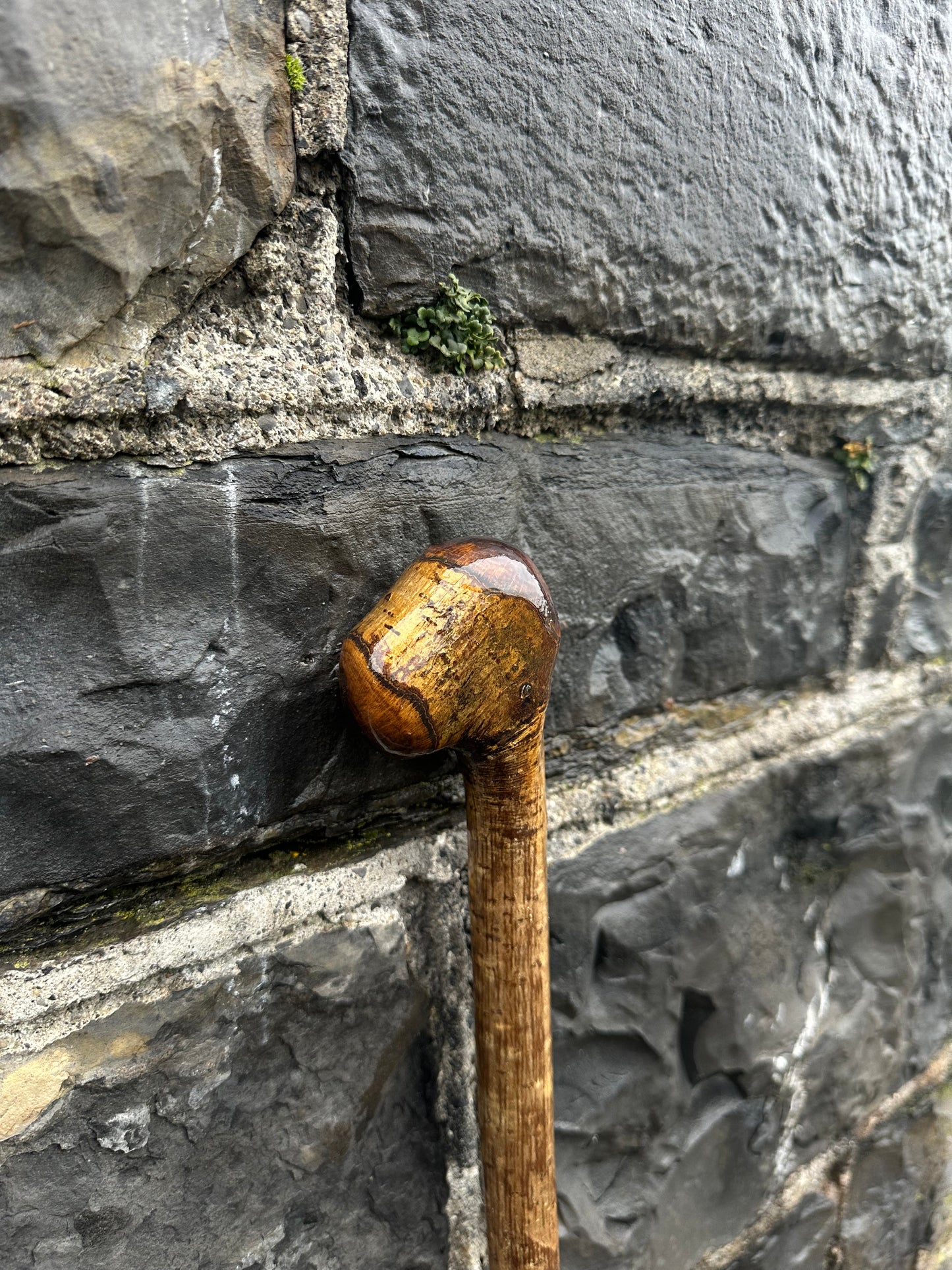 Hazel Walking Stick with Knob Finish – 100 cm (39.4”)