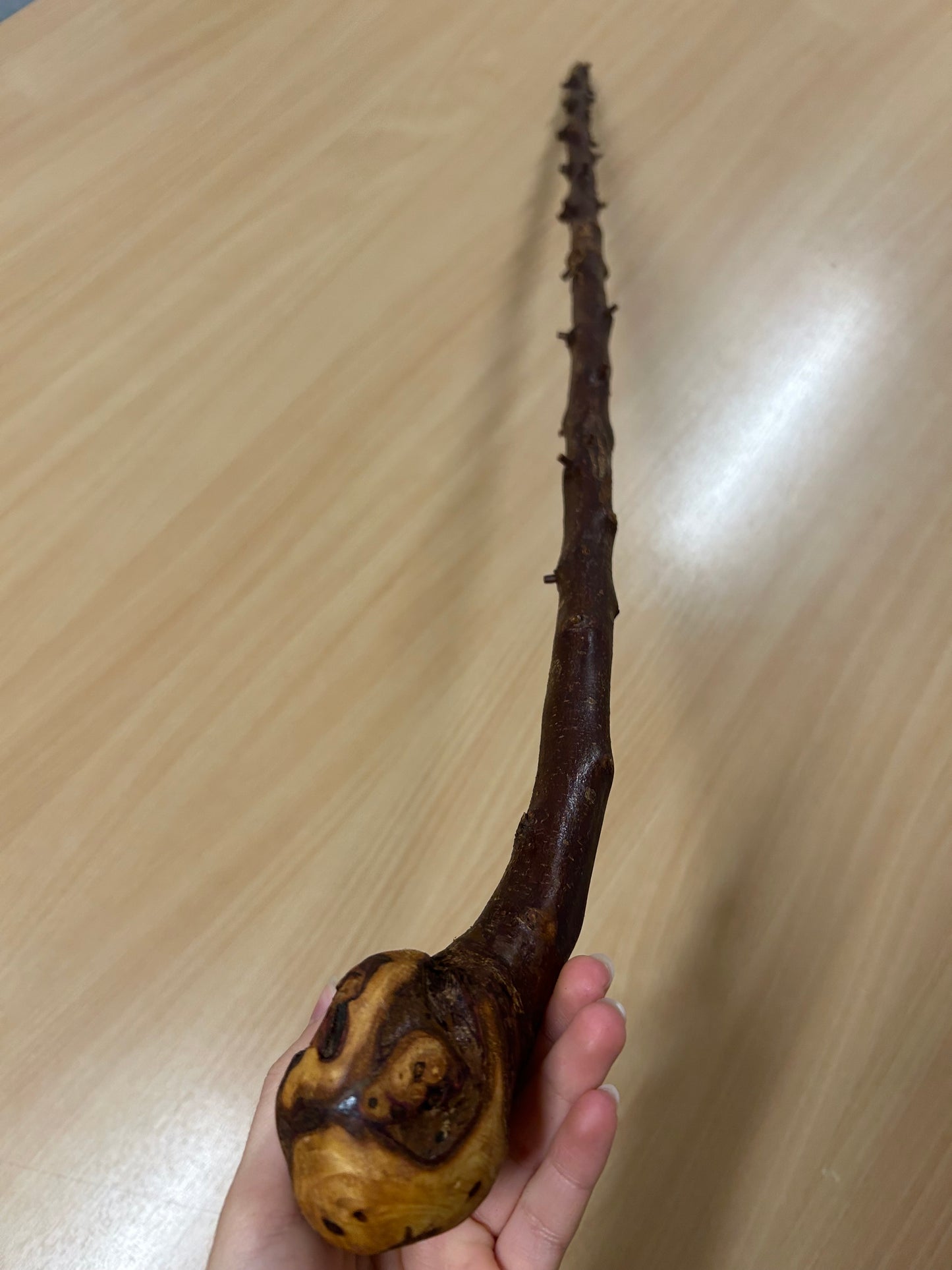 Very Thorny Blackthorn Walking Stick with Rough Head – 95cm