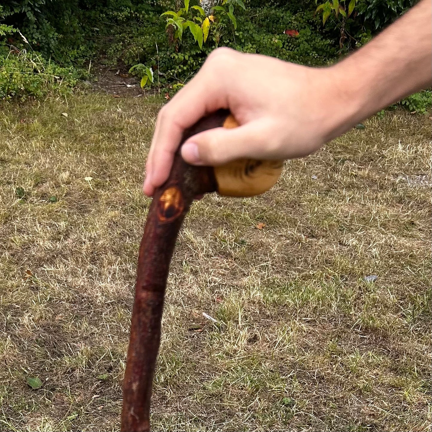 Leaning Knob Blackthorn Shillelagh – 98.9 cm (38.9”)