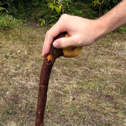 Leaning Knob Blackthorn Shillelagh – 98.9 cm (38.9”)