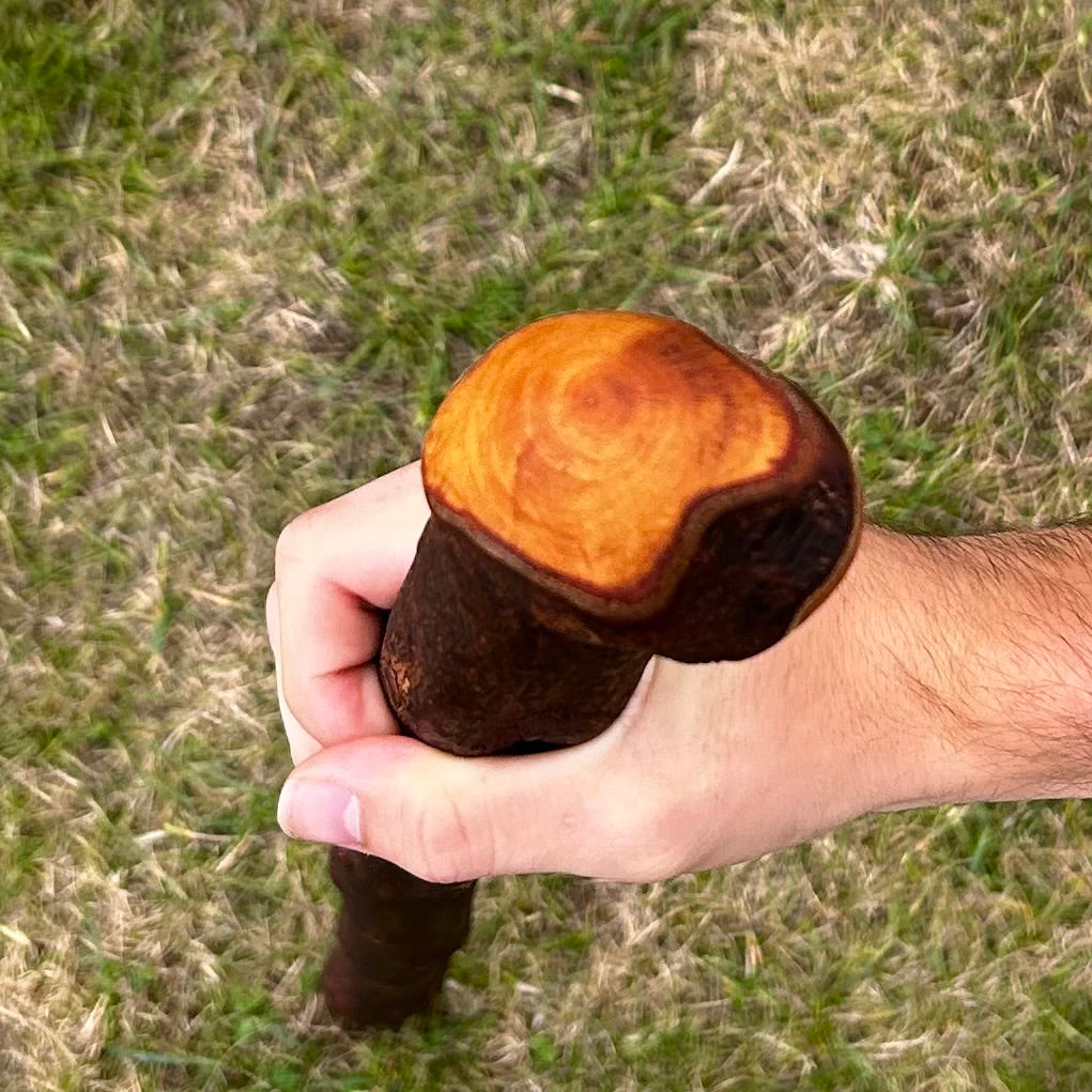 Thick Blackthorn Shillelagh Round Knob Stick – 96 cm (37.8”)