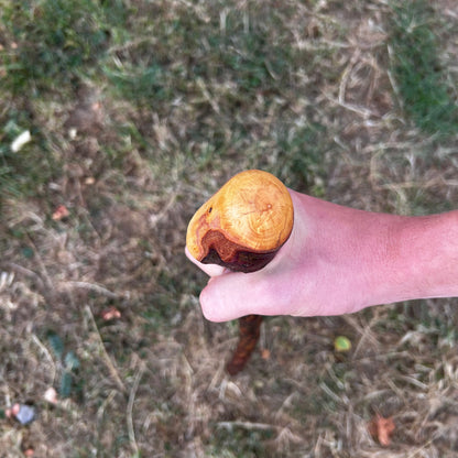 Short Chunky Blackthorn Shillelagh Knob Stick – 73 cm (28.7”)