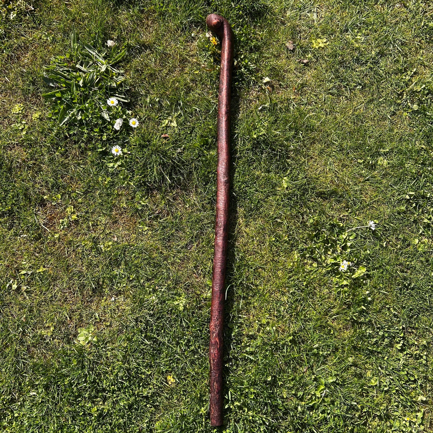 Sloped Knob Head Blackthorn Shillelagh – 96 cm (37.8”)