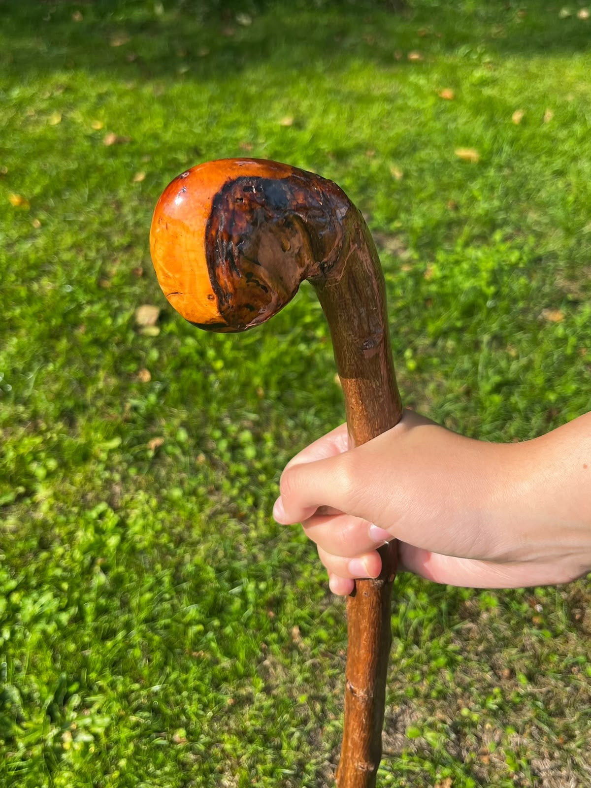 Hazel Knob Walking Stick – 88 cm (33.6”)
