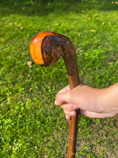 Humpy the Hazel - Shillelagh