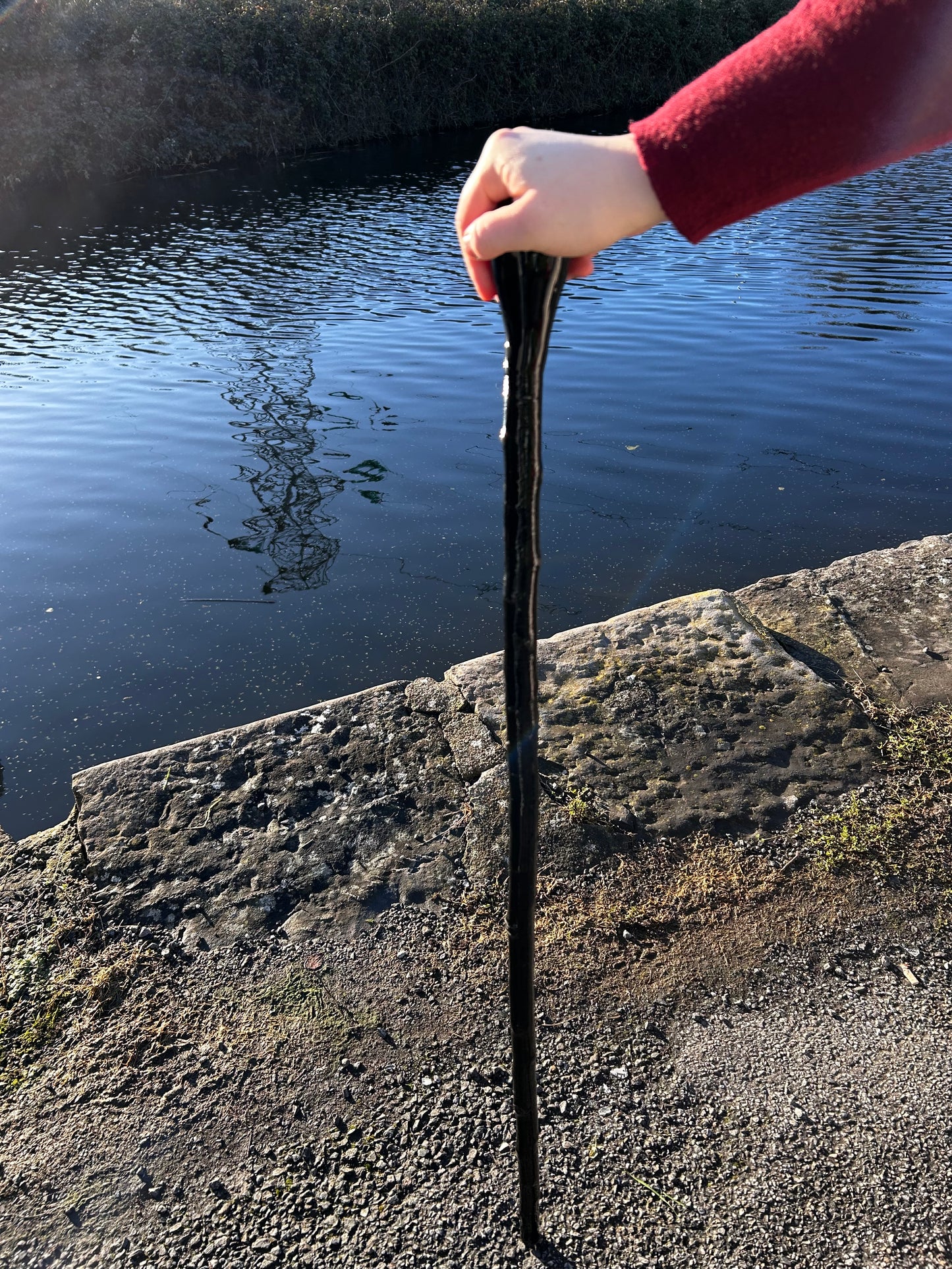 Two-Piece Black-Painted Hazel Stick with Spalted Beech Knob - 99 cm / 39 inches