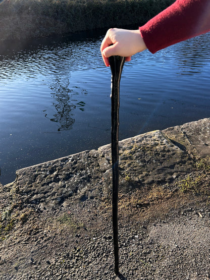 Two-Piece Black-Painted Hazel Stick with Spalted Beech Knob - 99 cm / 39 inches