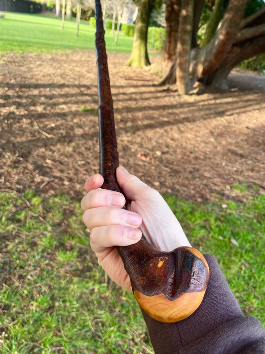 Knob & Curve Blackthorn | Irish Walking Sticks