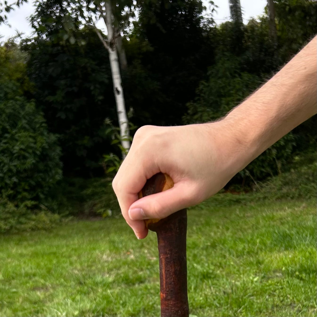 Blackthorn Shillelagh Knob Stick – 90 cm (35.4”)