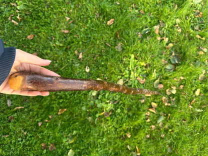 Sold - Blackthorn Walking Stick with Small Curved Handle – 98cm