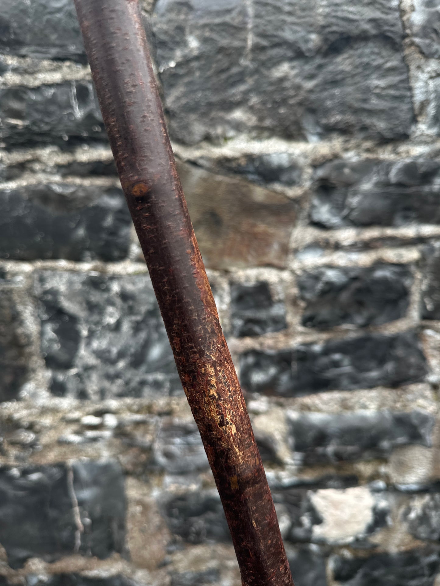 Blackthorn Walking Stick with 45° Handle – 109 cm (42.9”)