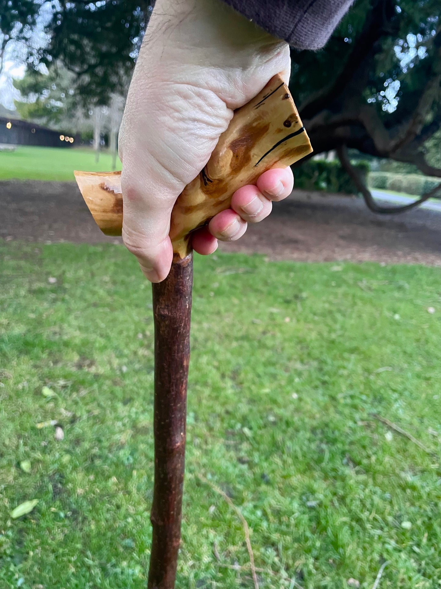 Blackthorn walking stick with comfortable Handle