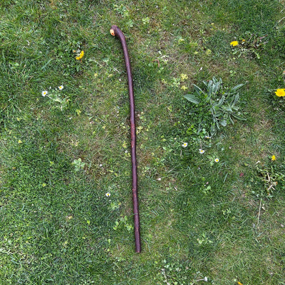 Blackthorn Shillelagh Smooth Knob Stick – 94 cm (37”)
