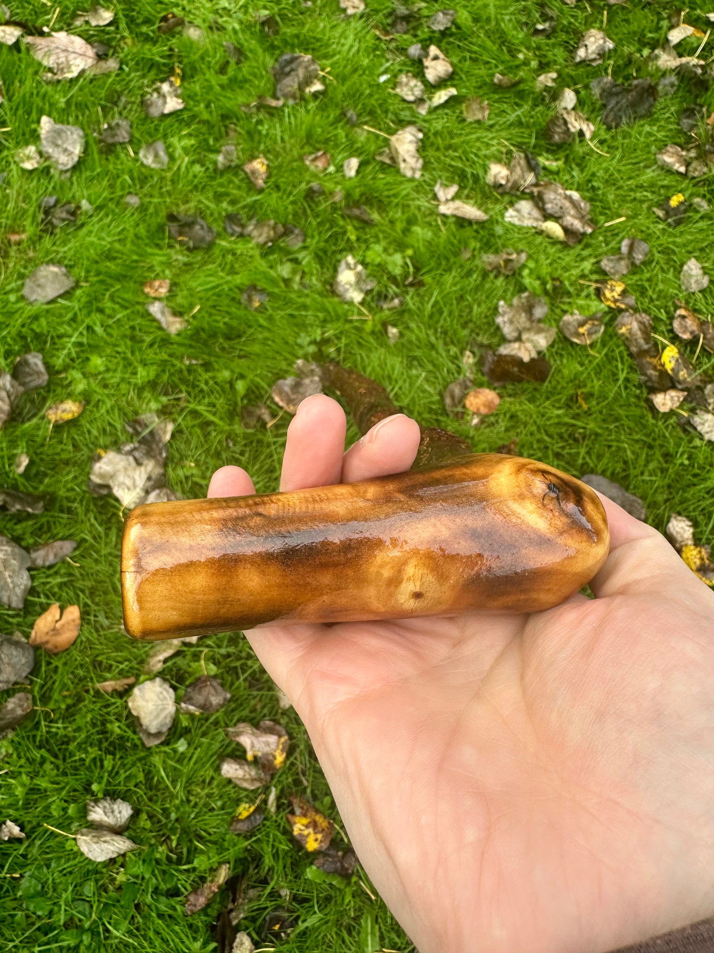 Irish Blackthorn Walking Stick with L Handle – 38”