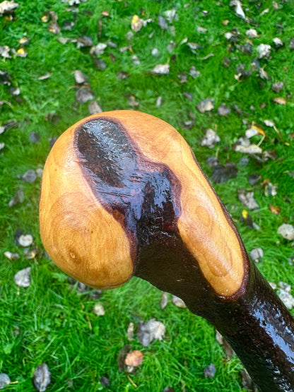 Irish Blackthorn Walking Stick with Knuckles – 40”