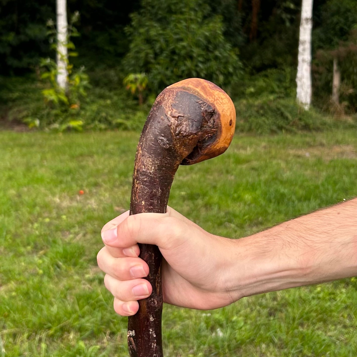 Large Round Knob Blackthorn Shillelagh – 99 cm (39”)