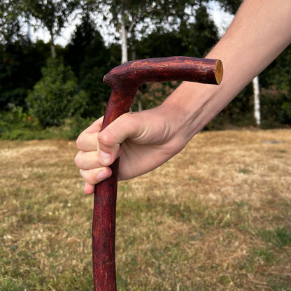Light Blackthorn Shillelagh L Handle – 91 cm (35.8”)