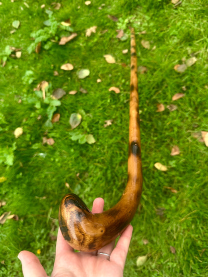 Hazel Walking Stick with Round L Handle and Black Pattern - 102 cm / 40 inches