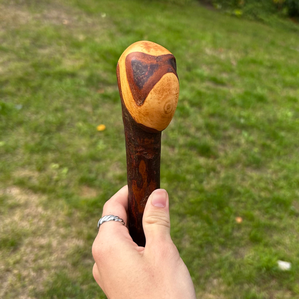 Blackthorn Shillelagh Knob Stick – 90 cm (35.4”)