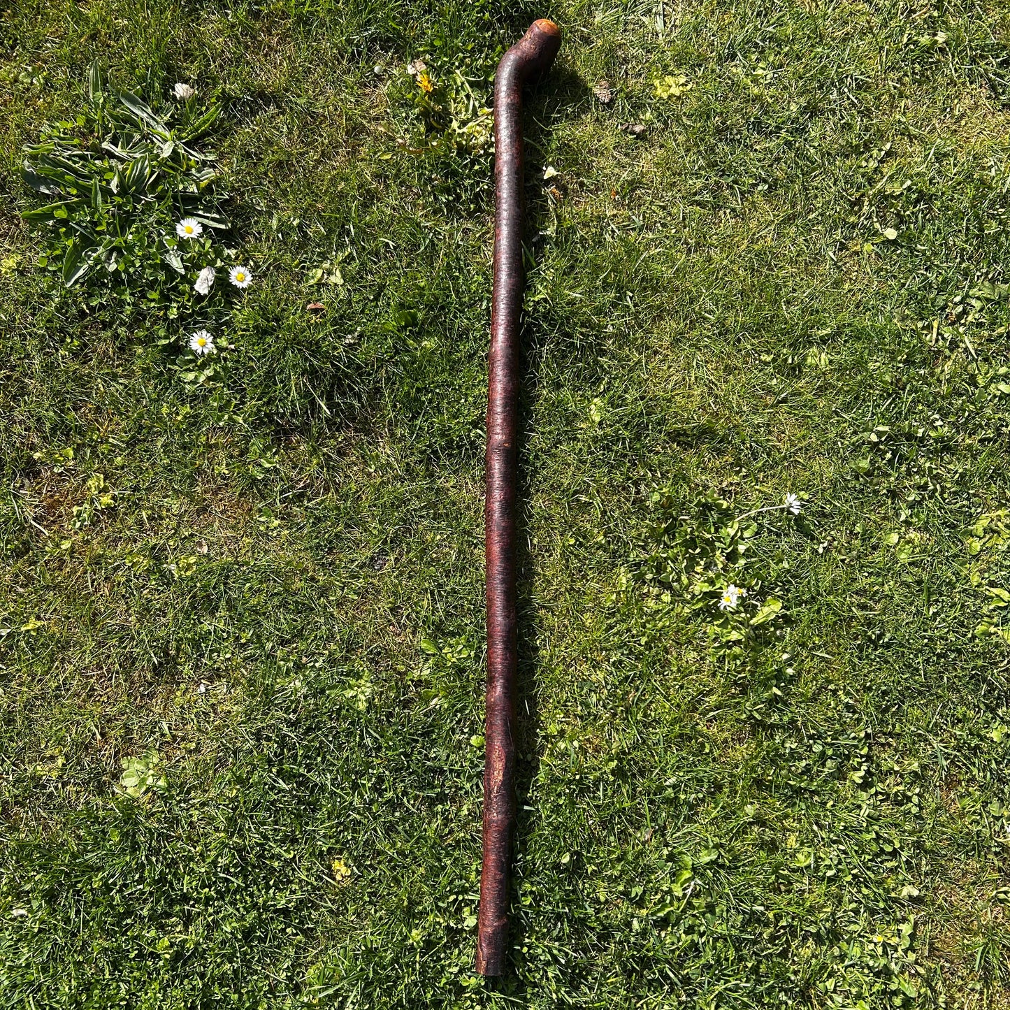 Sloped Knob Head Blackthorn Shillelagh – 96 cm (37.8”)