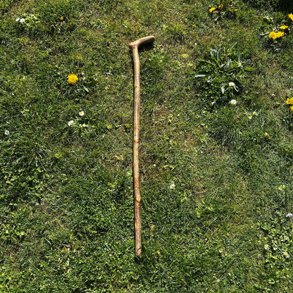 Hazel “Door Knocker” Shillelagh – 90 cm (35.4”)