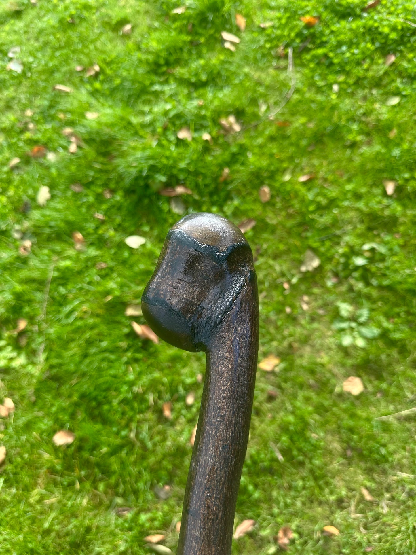 Blackthorn Walking Stick with Round Handle – Black Painted - 105 cm / 41 inches