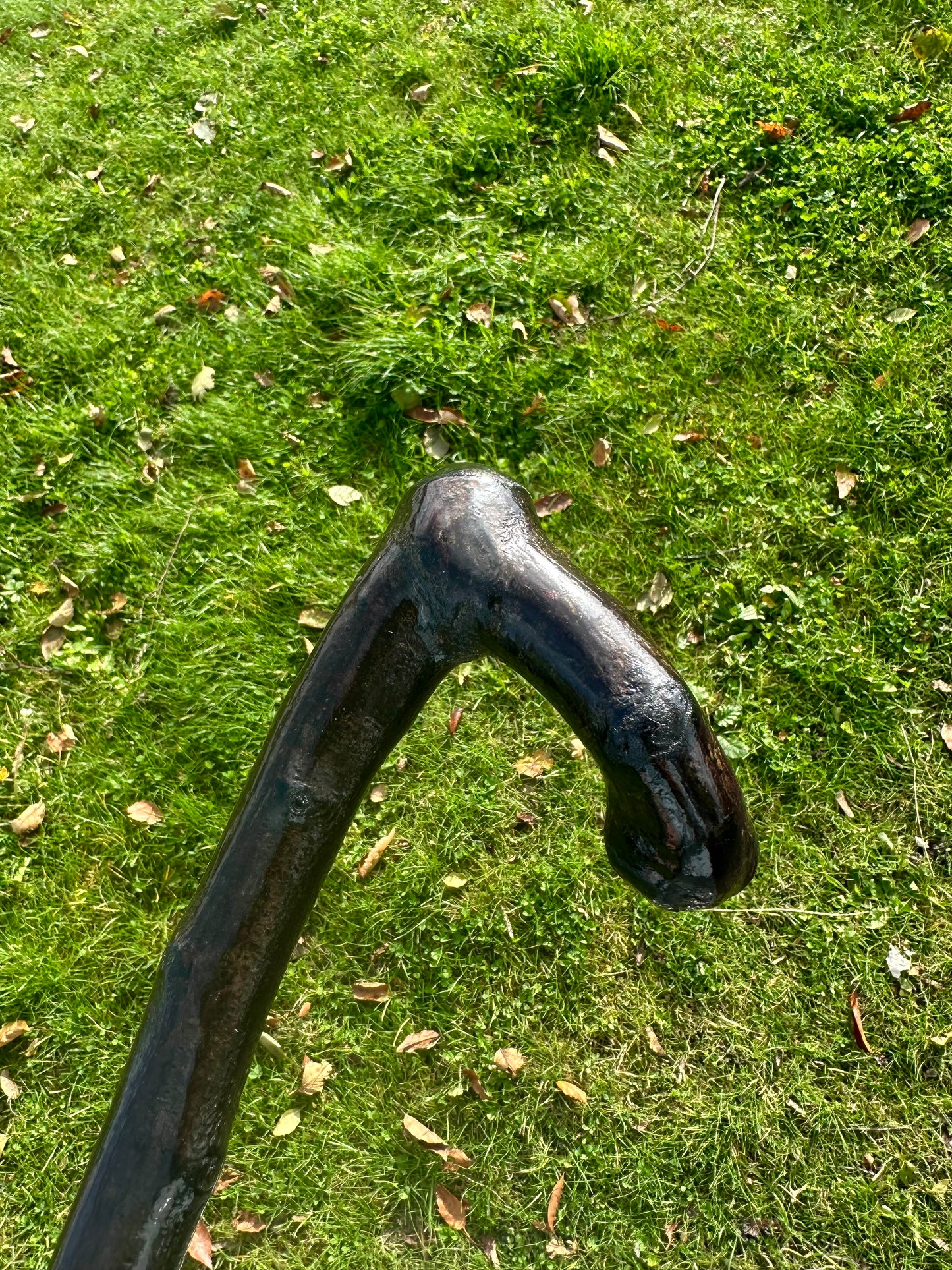 Blackthorn Walking Stick with L Handle – Black Painted -  95 cm / 37 inches