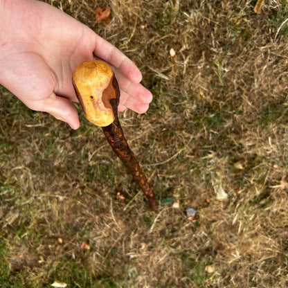 Short Chunky Blackthorn Shillelagh Knob Stick – 73 cm (28.7”)