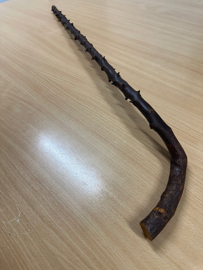 Light Thorny Blackthorn Stick with L Handle – 100cm