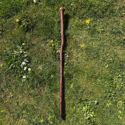 Blackthorn Shillelagh Knob Stick – 96 cm (37.8”)