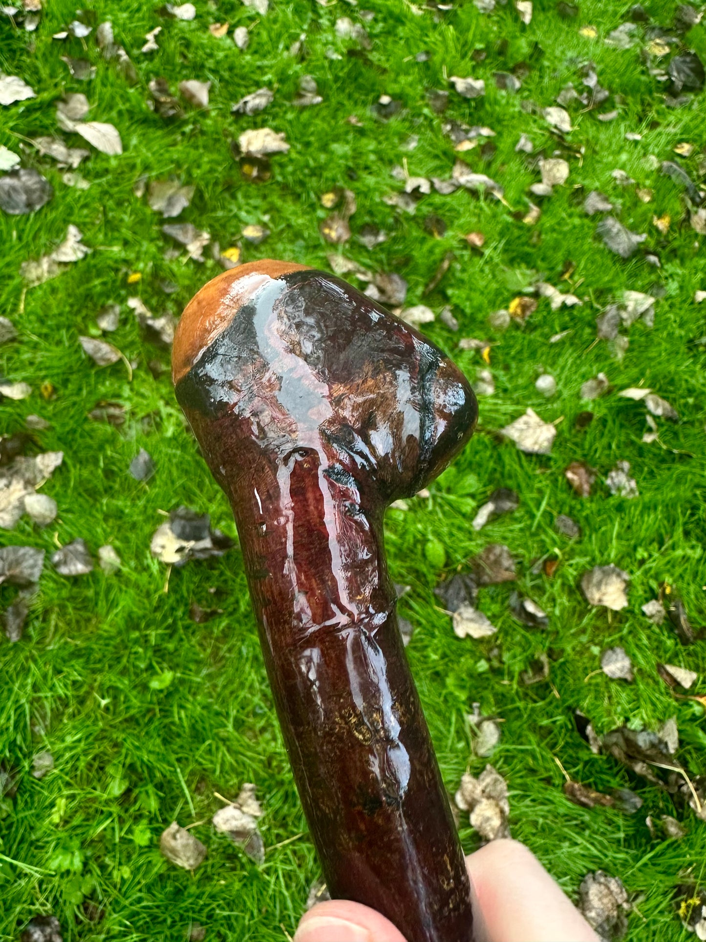 Irish Blackthorn Walking Stick – 40”