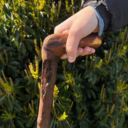 Blackthorn Shillelagh with L Handle – 99 cm (39”)