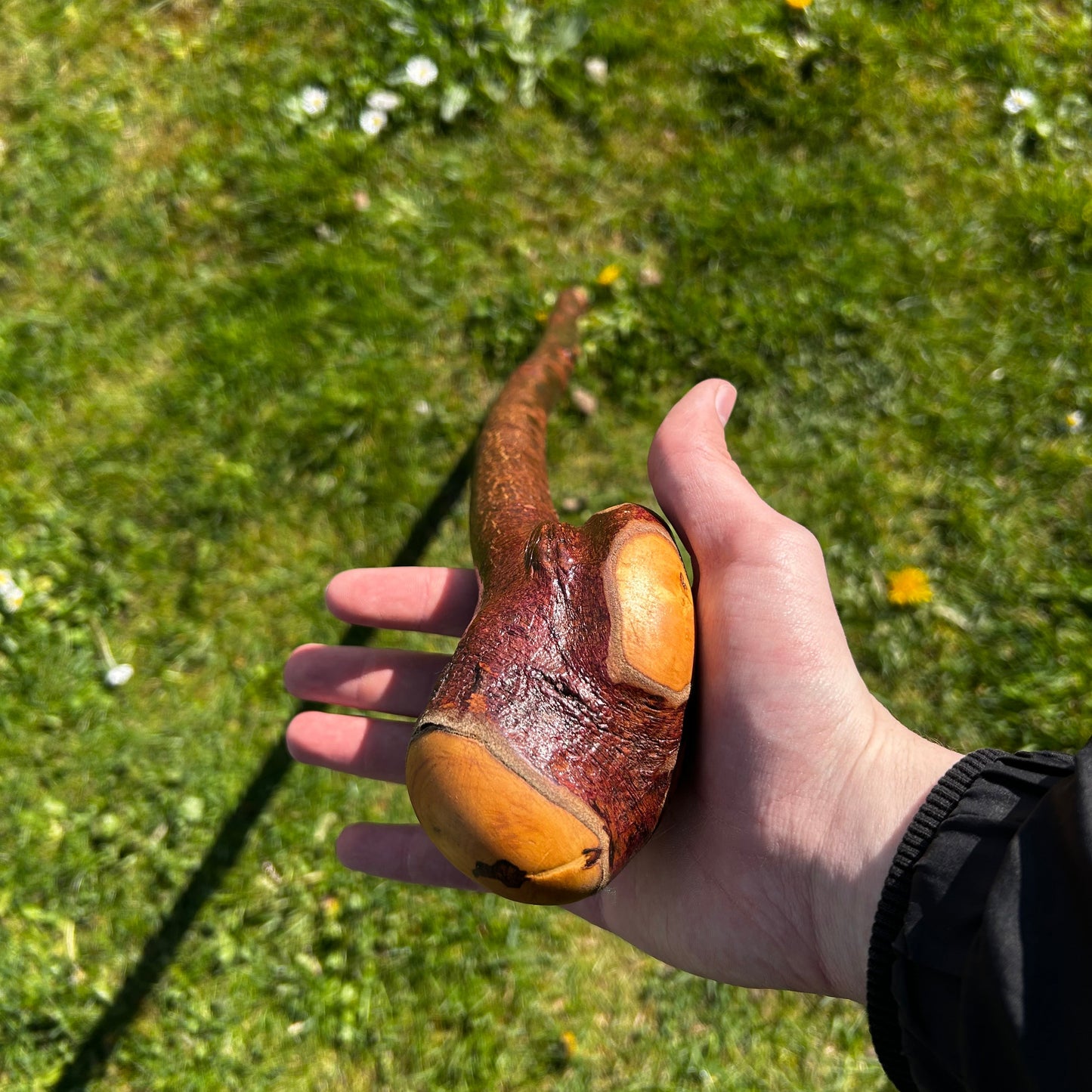 Blackthorn Root Ball Shillelagh – 90 cm (35.4”)