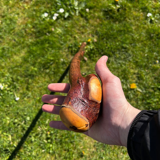 Blackthorn Root Ball Shillelagh – 90 cm (35.4”)