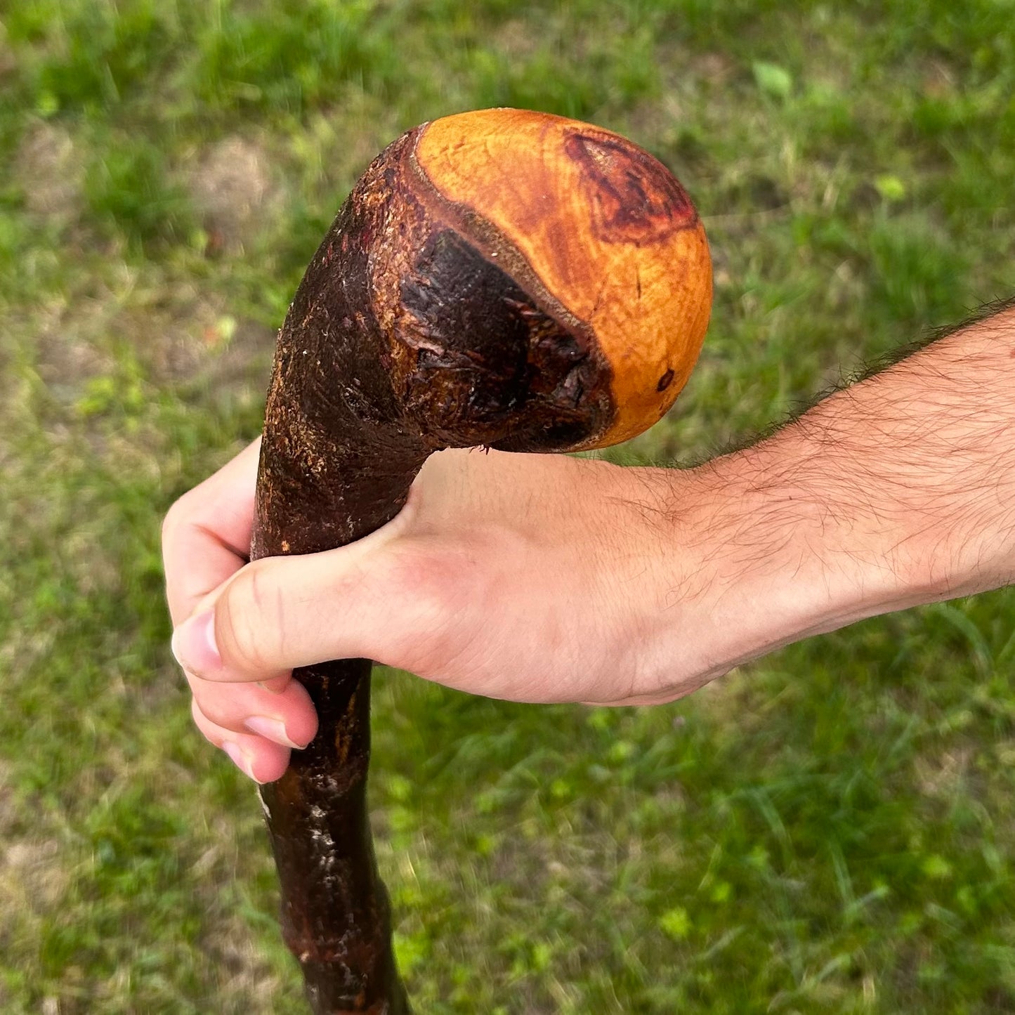 Large Round Knob Blackthorn Shillelagh – 99 cm (39”)