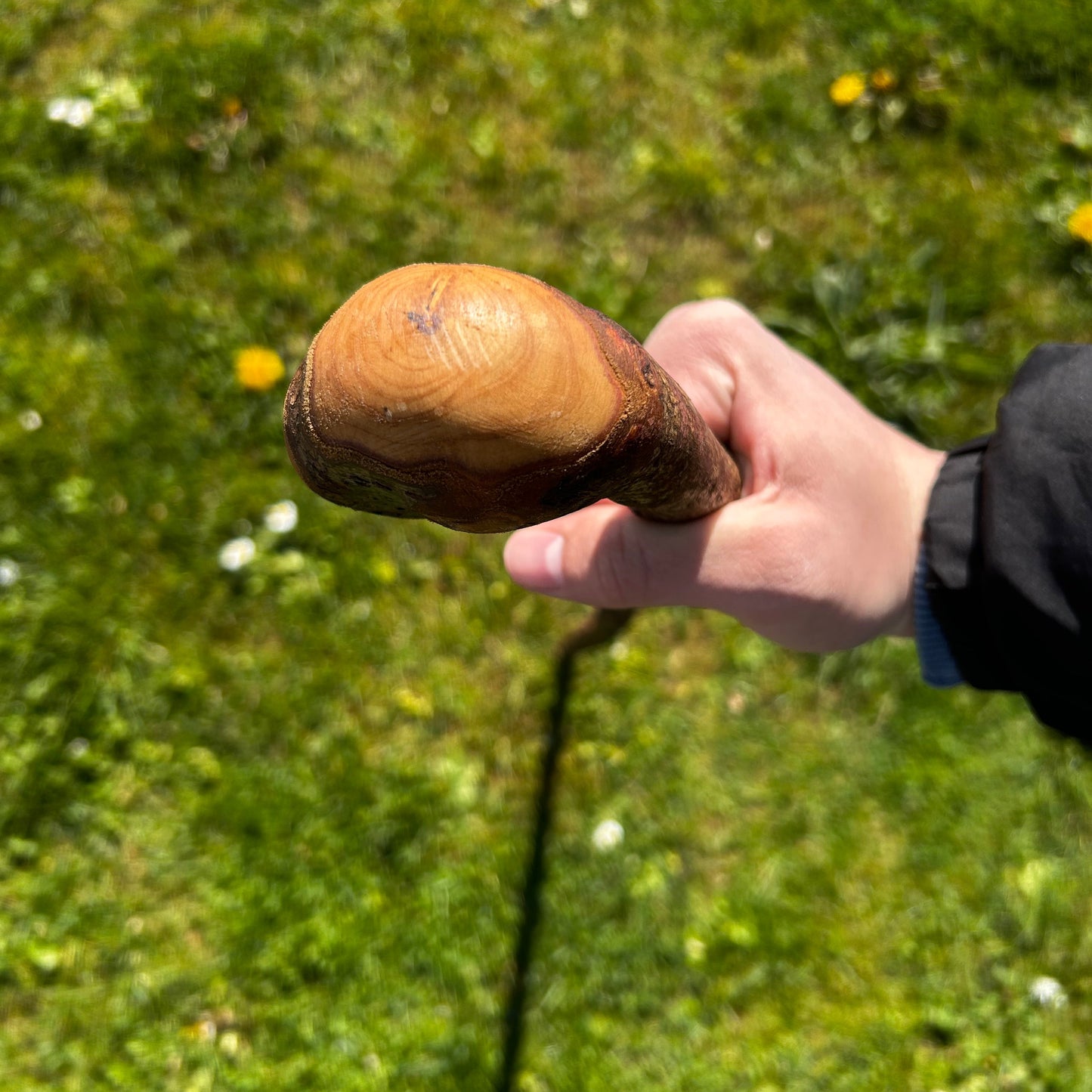 Twisted Blackthorn Shillelagh Knob Stick – 102 cm (40.1”)